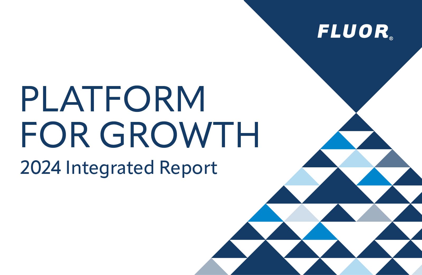 Platform for Growth: 2024 Integrated Report