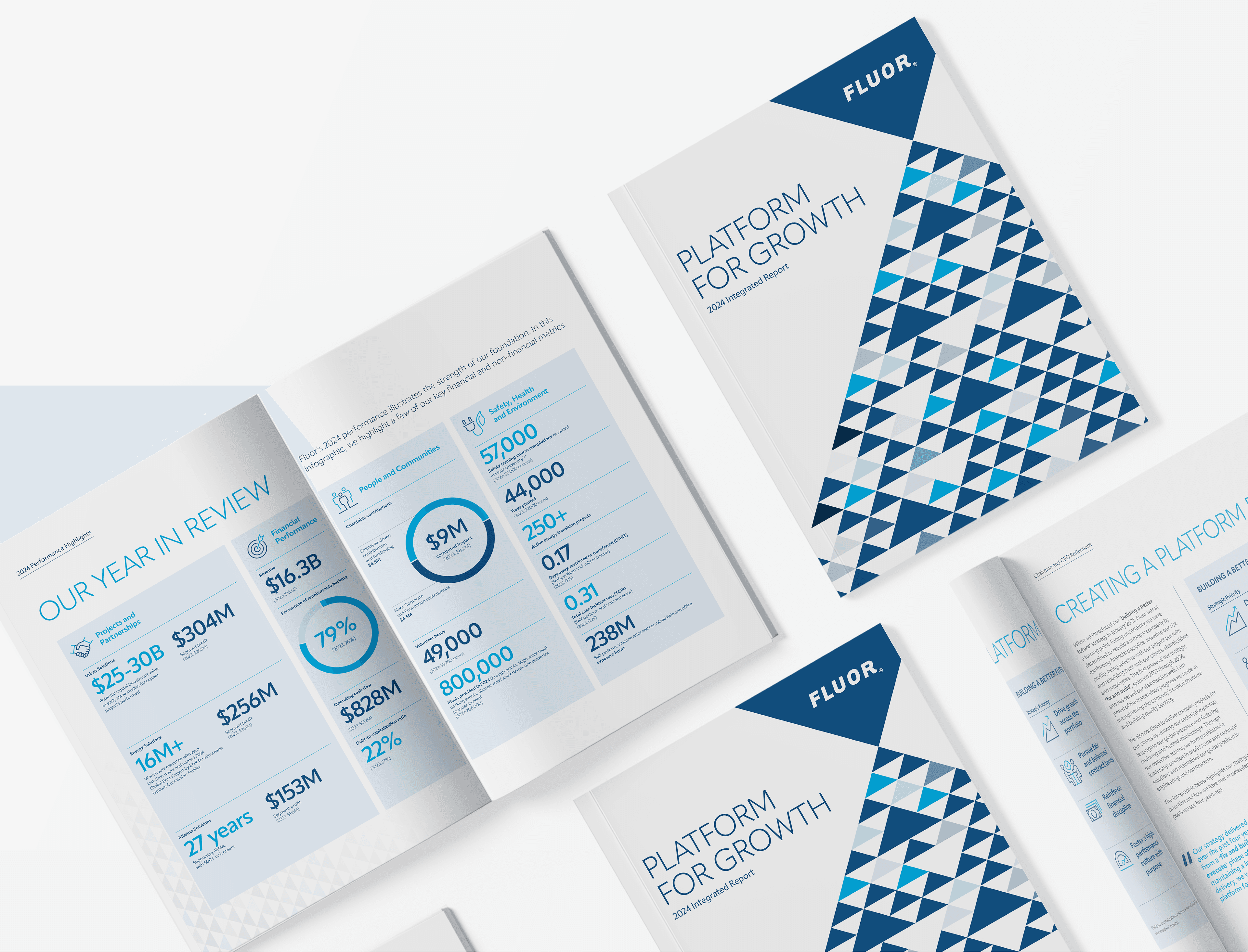 Platform for Growth: 20242 Integrated Report